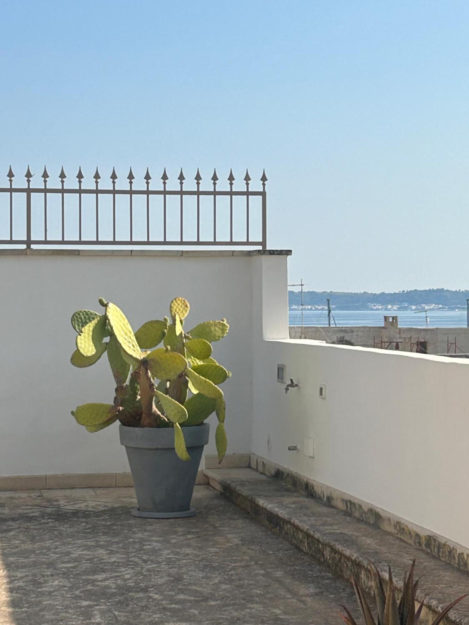 Palazzo Angelelli Bed & Breakfast Gallipoli Dış mekan fotoğraf